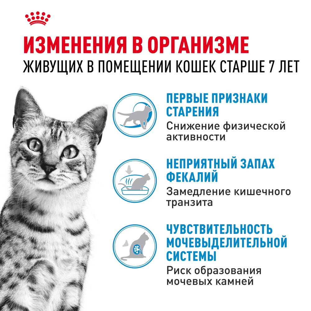 Royal Canin Indoor 7+ Индор Корм сухой сбалансированный для стареющих кошек в возрасте от 7 до 12 лет живущих в помещении 1,5кг