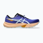 Кроссовки для бега ASICS Fuji Lite 6 cobalt burst/cool grey