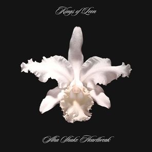 Kings Of Leon / Aha Shake Heartbreak (Clear Vinyl)(2LP)