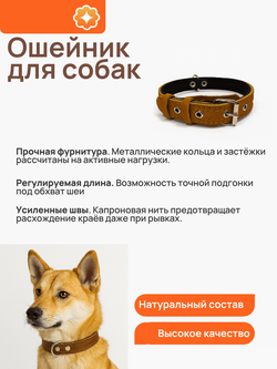 Ошейник для собак средних пород кожаный оранжевый