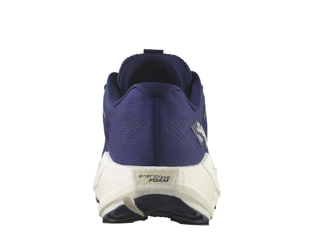 Кроссовки для бега мужские Salomon Aero Blaze 3 GRVL M Зеленовато-Фиолетовые