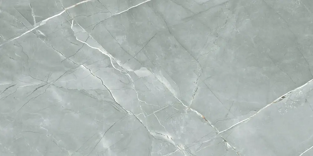 Керамогранит Royce William Grey Polished 60x120 см (R_PR2019)