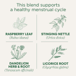 Traditional Medicinals, Organic Healthy Cycle®, листья малины, без кофеина, 16 упакованных чайных пакетиков, 24 г (0,85 унции)
