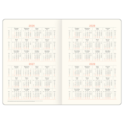 Ежедневник датированный 2026г., А5, 176л., твердый переплет, кожзам, BG "Horse. Shade", цветной срез, с резинкой, карман DdА5_09397