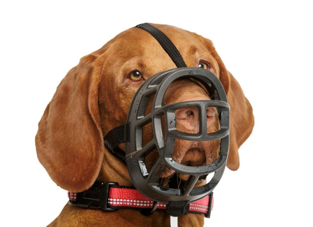 Намордник для собак "Baskerville Ultra", Size4, 9х32см (Великобритания) COA