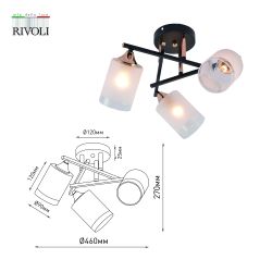 Люстра Rivoli Fiona 3163-303 3 х Е27 60 Вт модерн | Rivoli