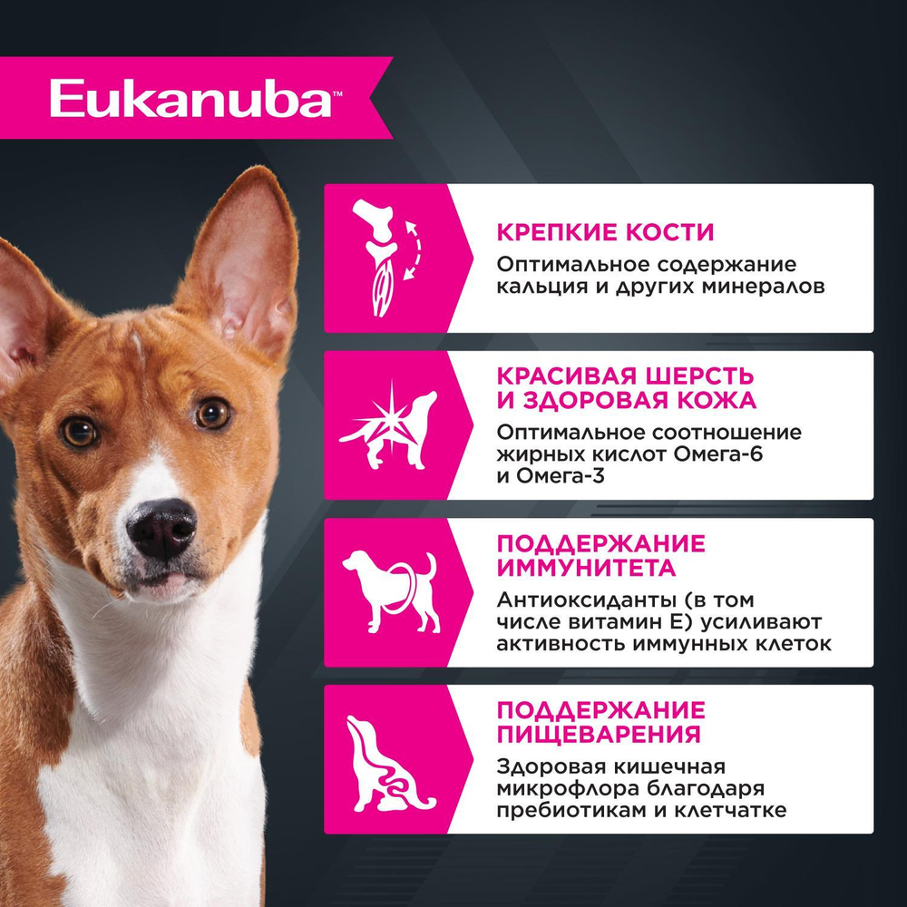 Eukanuba паучи для взрослых собак с курицей 100 г