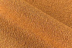 Букле Gucci / Гуччи