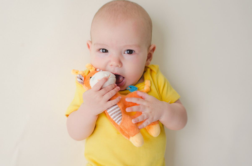 Погремушка Zoocchini Жираф