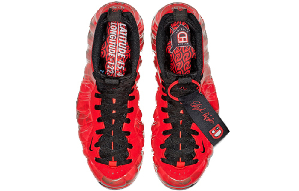 Кроссовки Nike Foamposite One Doernbecher 2019