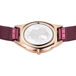 Наручные часы Bering 17031-969