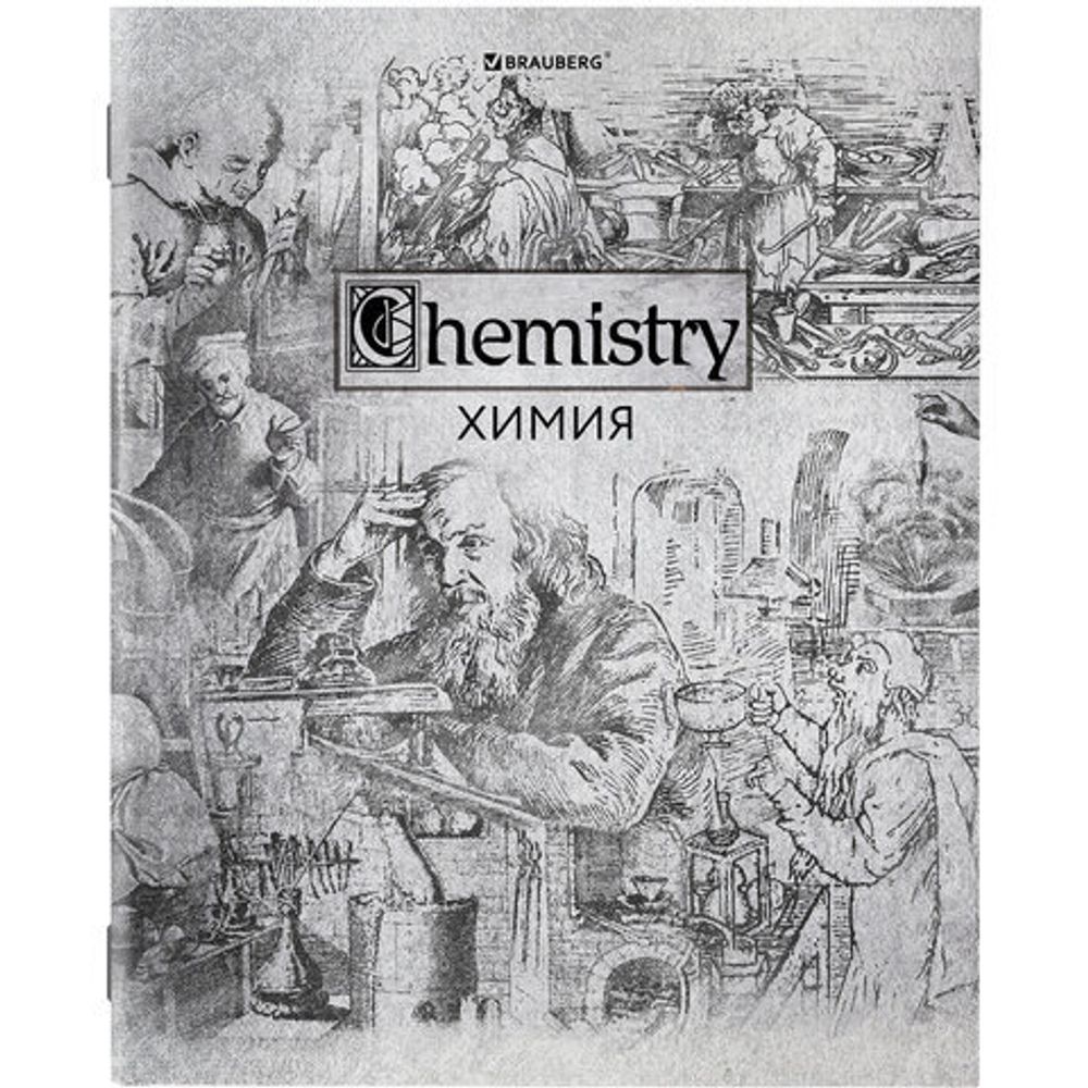 Тетради предметные, КОМПЛЕКТ 12 ПРЕДМЕТОВ, "SILVER", 48 листов, с серебряной обложкой, BRAUBERG, 404034