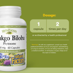 Natural Factors, гинкго билоба, фитосома, 60 мг, 60 капсул