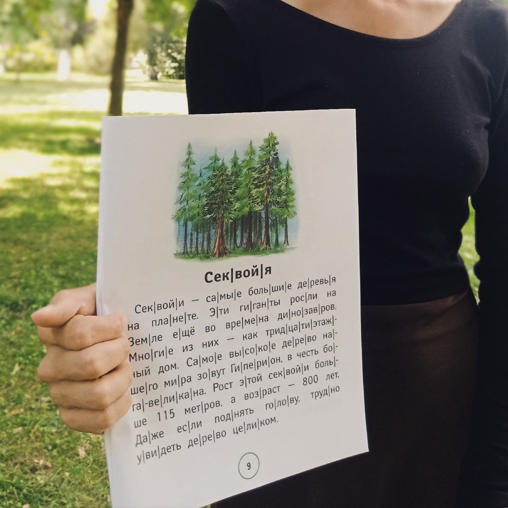 «Окружающий мир» - цикл прогулок
