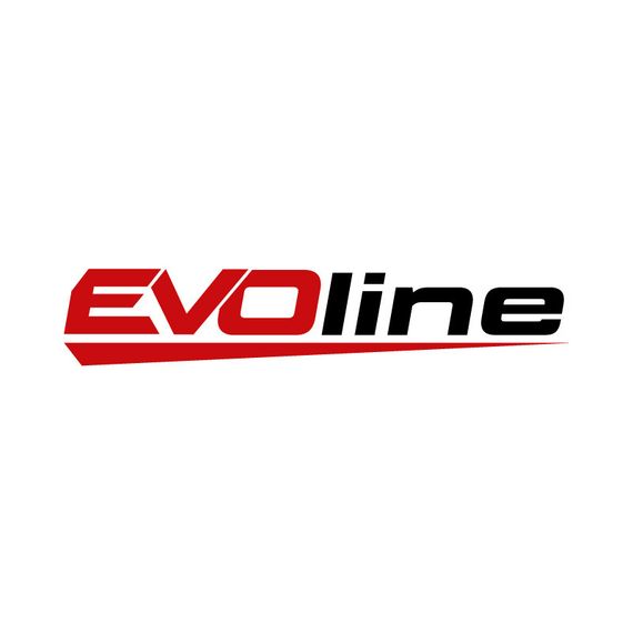 Двигатель бензиновый EVOline GB 620 E (1T90QX620EVO)
