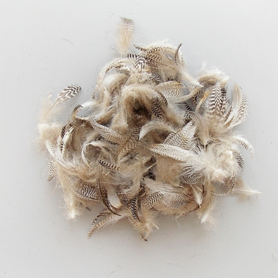 FLYFISHER Перья чирка TEAL DUCK