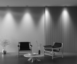 Светильник встраиваемый Maytoni   DL126-02-GU10-B