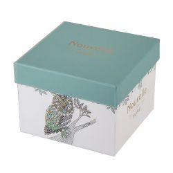 Кружка "Сова" v=430мл (фарфор) (подарочная упаковка)