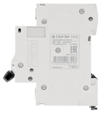 Автоматический выключатель  Systeme Electric C9F14363
