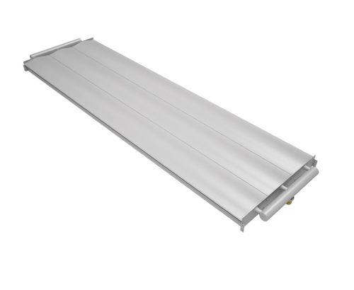 velum_0.jpg