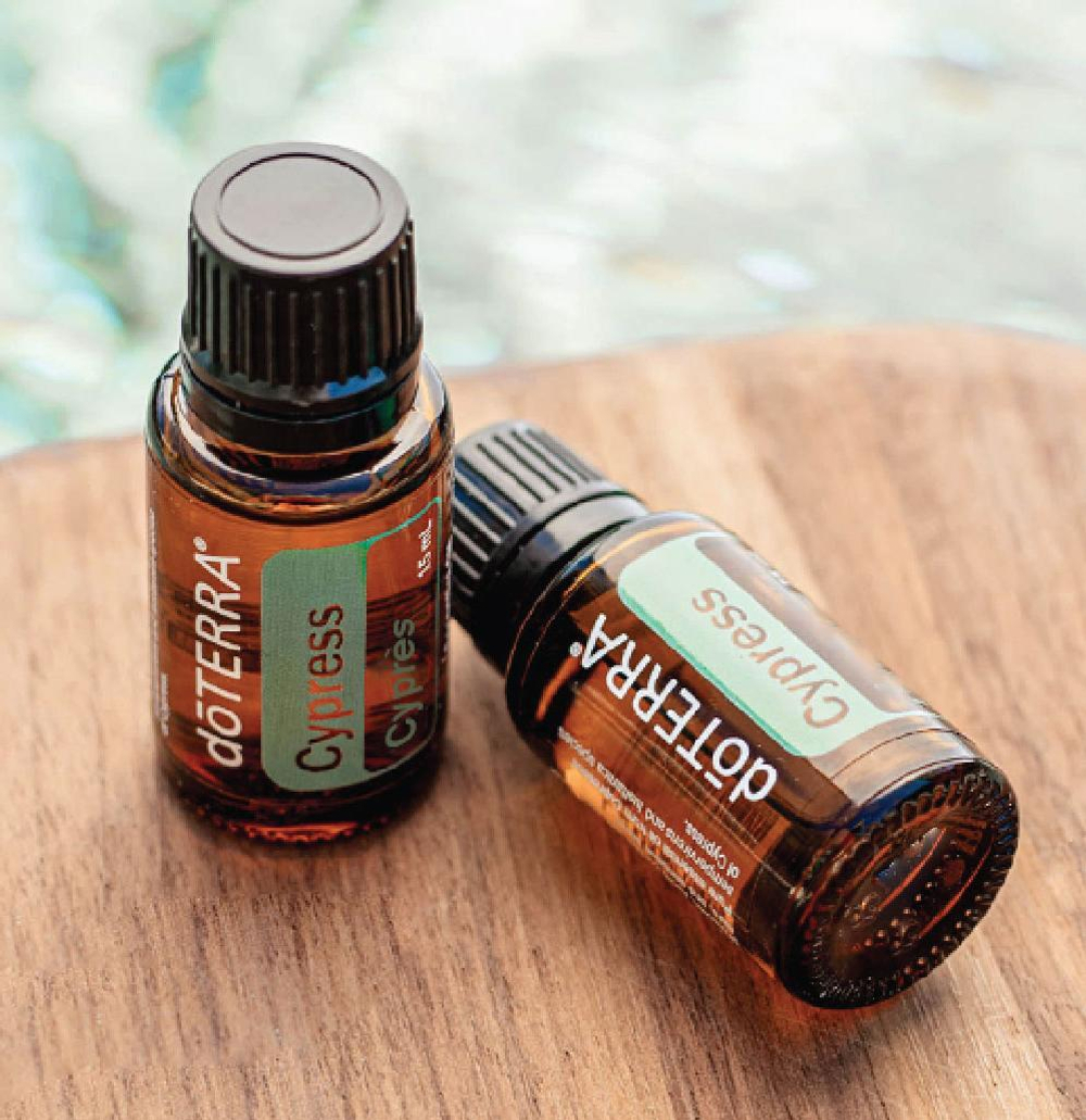 Эфирное масло doTERRA Кипарис, Cypress, 15 мл