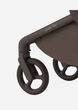 Anex Детская коляска Flo 2 в 1 Browny