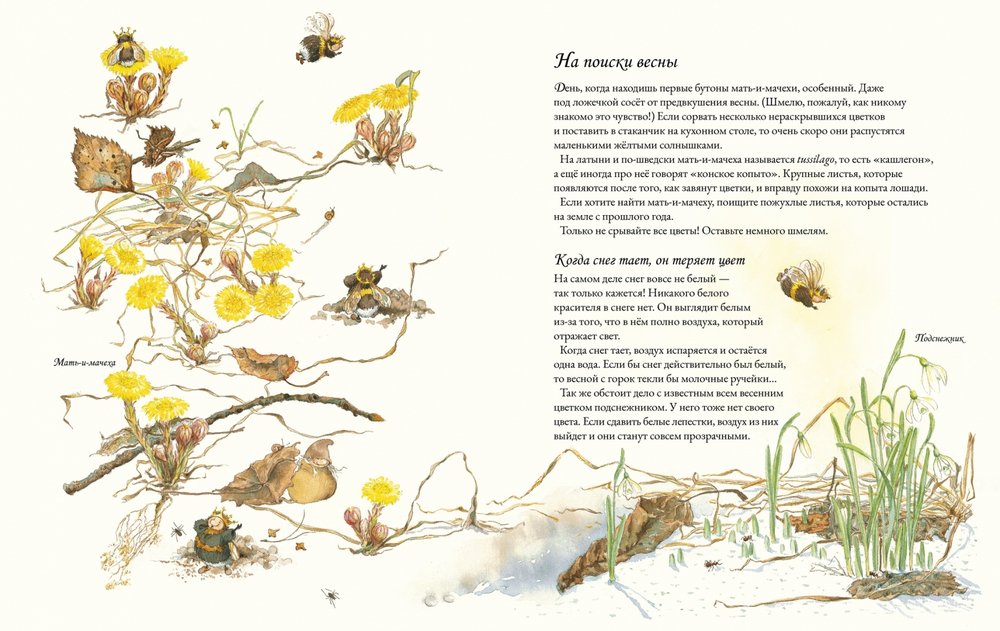Цветочная книга шмеля