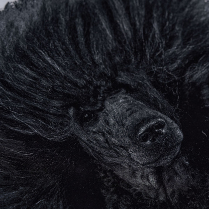 BOSS Футболка из плотного хлопка с принтом