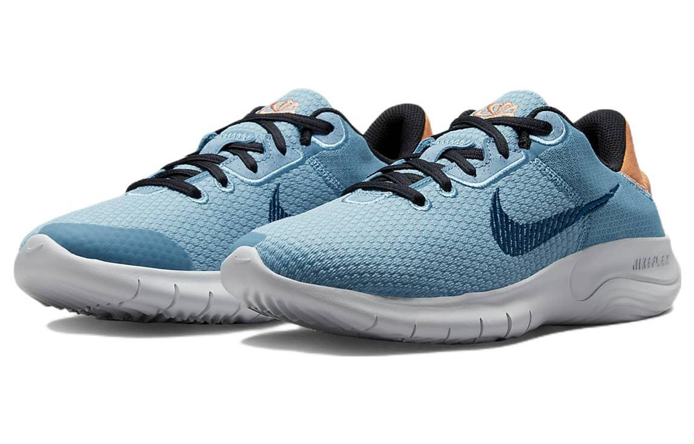 Кроссовки Nike Flex Experience Run 11 Next Nature (Женская размерная сетка)