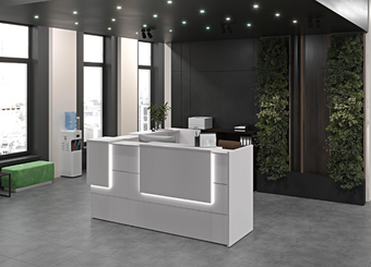 Ресепшен ONIX (ОНИКС)