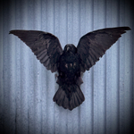 Чучело ворона