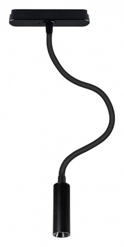 Светильник на штанге Arte Lamp Rapid A6162PL-1BK