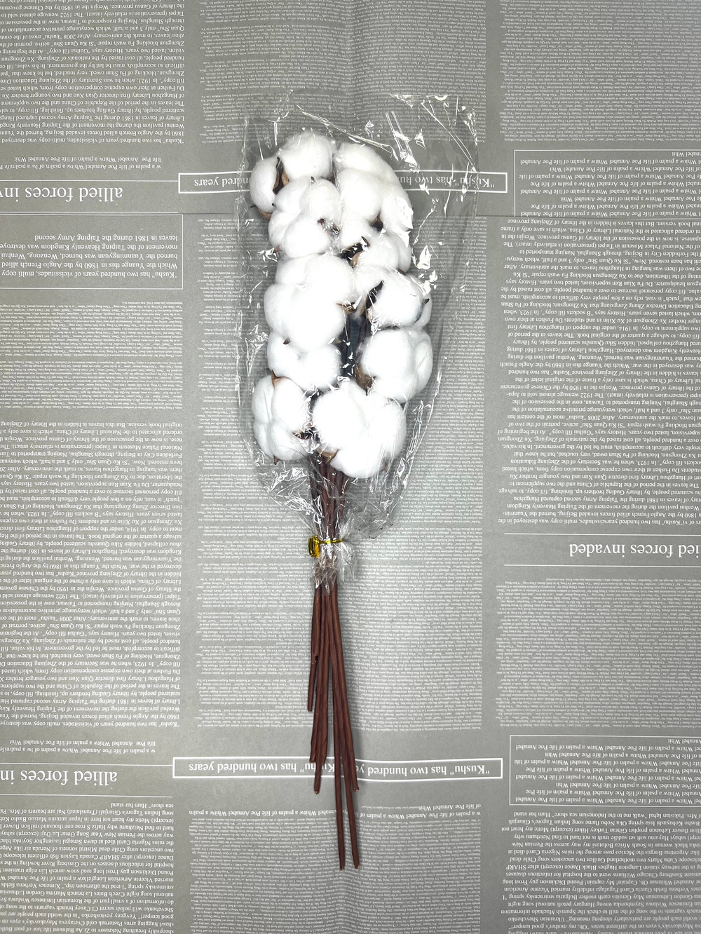 Хлопок сухоцвет