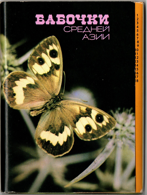 Полный набор цветных открыток "Бабочки Средней Азии" 18 штук 1989 года СССР