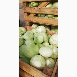 Капуста б/к Золтан F1 (100шт) Витагрин Профи