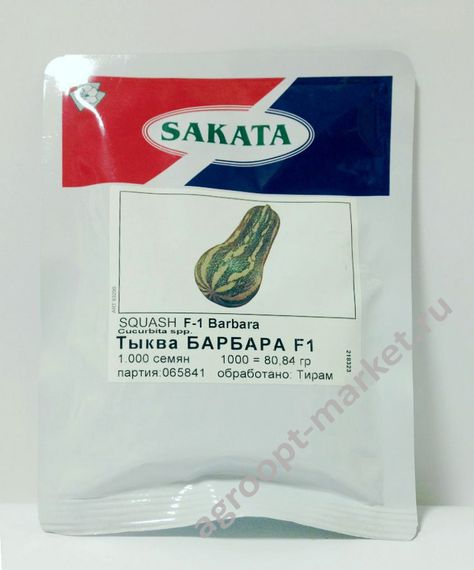 БАРБАРА F1 семена тыквы (Sakata | Alexagro)