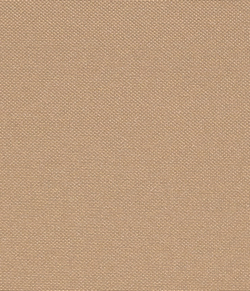 Рулонные шторы Лестер Бежевый