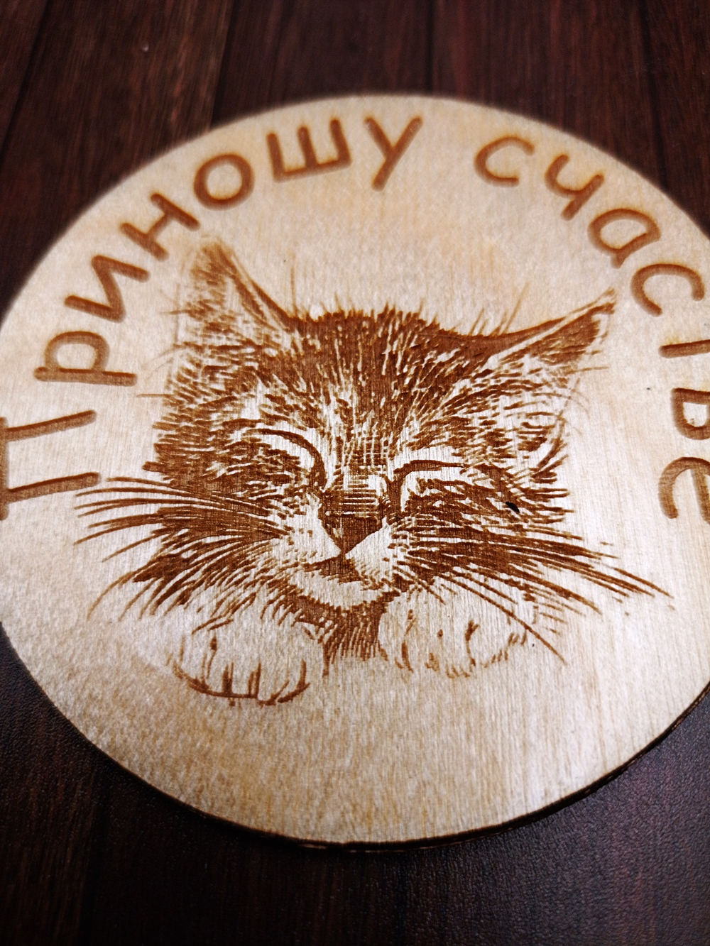 Магнит Котик