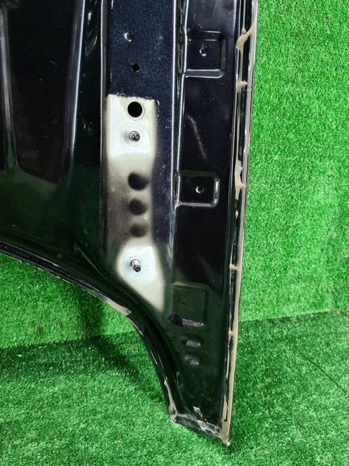 Капот Skoda Kodiaq (2016-н.в.) (В пленке)