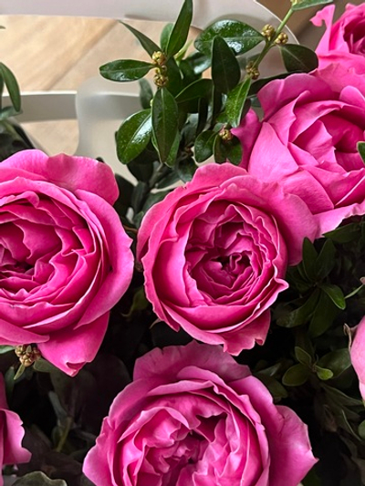 Композиция «Розовый сад»