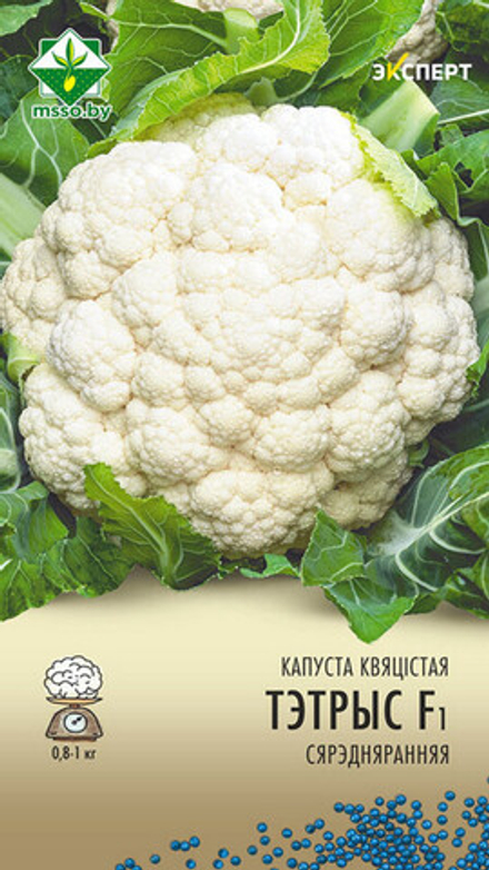 Капуста цветная "Тетрис F1" 12шт, Нидерланды.