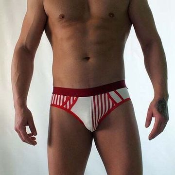 Трусы мужские брифы красно-белые Van Baam VB-418-AN018