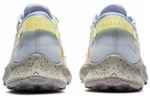 Кроссовки Nike Pegasus Trail 2 (Женская размерная сетка)