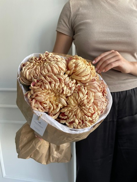 Моно из одноголовой хризантемы КУПЕР