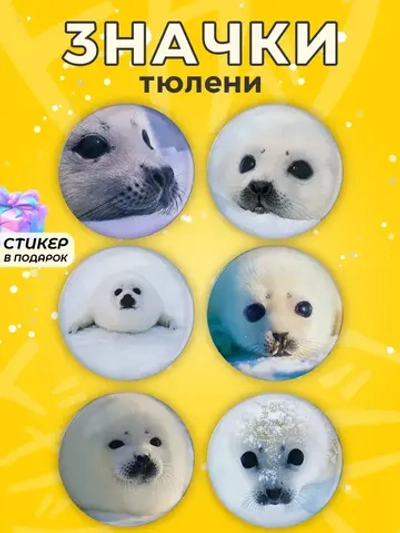 Значки прикольные тюлени