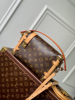 Louis Vuitton Side Trunk MM