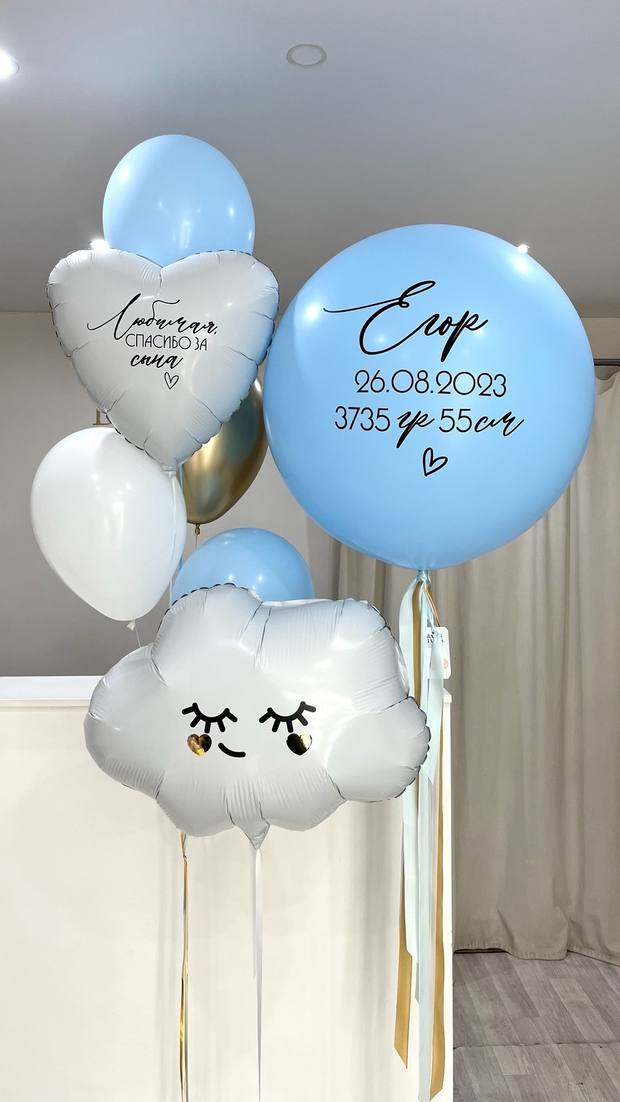 Шары на выписку №156