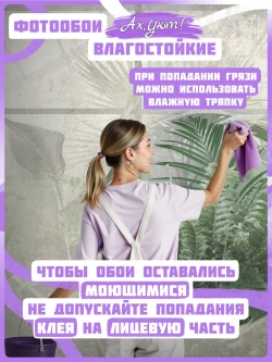 3D Фотообои окно в туманный тропический лес