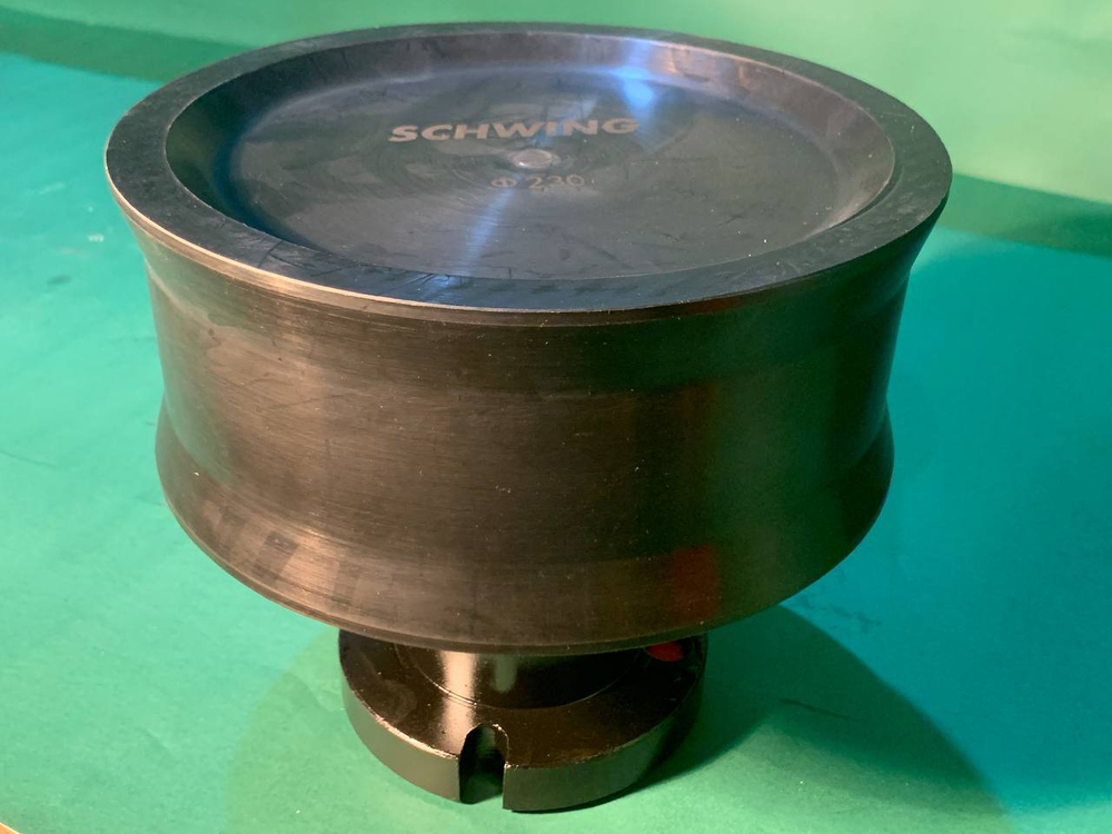 Поршень Schwing DN230 10161634