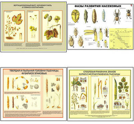 Плакаты ПРОФТЕХ "Вредители и болезни с/х культур и меры борьбы с ними" (11 пл, винил, 70х100)